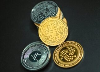 The Role of Stablecoins in Tokenization a group of coins sitting on top of a table