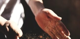 person's hand with dust during daytime