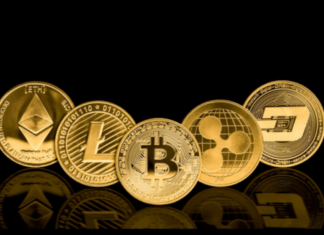 The Best Investing Niches with Cryptocurrencies for 2024