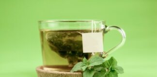 clear glass mug with green leaves