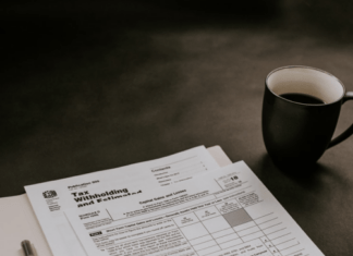 Organization of Accounting Services: Useful Tips for Business