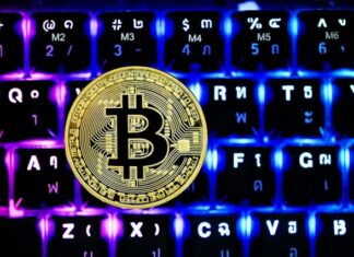 Critical Insights: Bitcoin Rules Across the Globe black and blue computer keyboard
