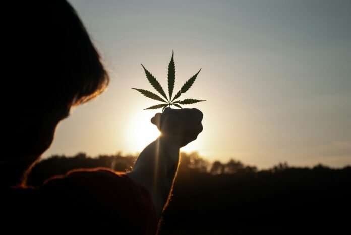 Photo by David Gabrić person holding white flower during sunset