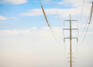 4 Reasons Dry Type Transformers Perform Better than Oil Filled (For Indoor Use) a couple of sheep standing on top of a lush green field