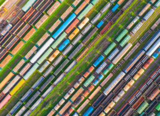 Image Classification and Object Detection in Computer Vision