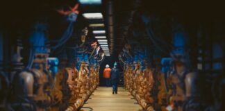 a man standing in a large room with lots of pipes