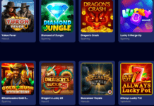 Why Slot Enthusiasts are Flocking to BitcoinCasino.us