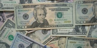 20 us dollar bill