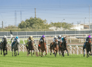 5 Contenders You Should Look Out for in the 2024 Kentucky Derby