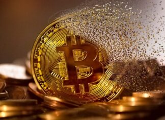 Bitcoin: Unveiling the Secrets of Profitable Investment blockchain, technology, smart