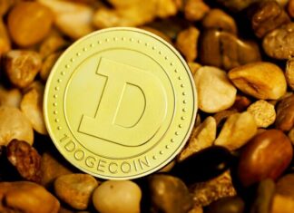 Dogecoin Delight: Capturing the Essence of Successful Crypto Investment silver round coin on brown and black stones