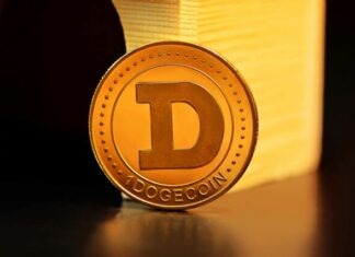 Unleashing Dogecoin’s Potential: Strategies for Investment Success a close up of a coin on a table