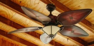 brown and white 5 blade ceiling fan with light fixture