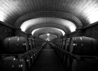 The Hidden Challenges of Wine Cellar Repairs: What Every Connoisseur Should Know
