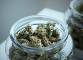 green cannabis on clear glass jar