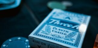 TreeA plastic coated card deck beside poker chip and dice