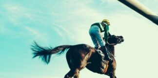 a jockey riding a horse in a grassy field