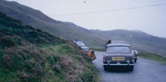 a car on a road with a dog on the side