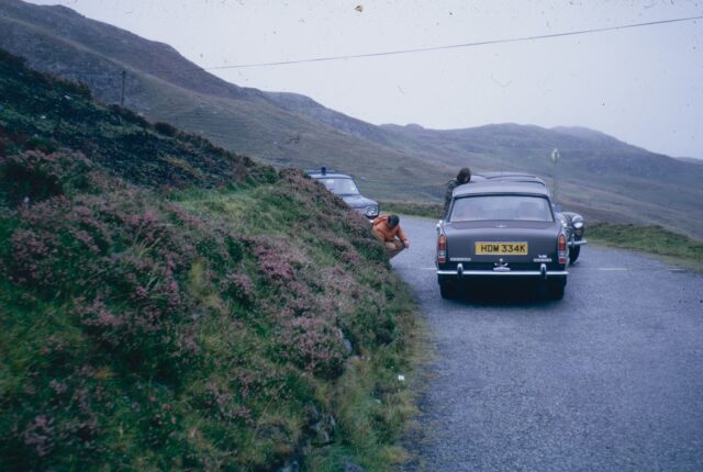 Photo by Annie Spratt a car on a road with a dog on the side