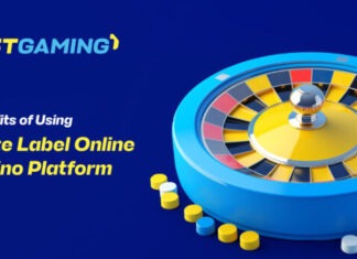Benefits of DSTGAMING White Label Casino Platform