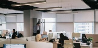 people inside office