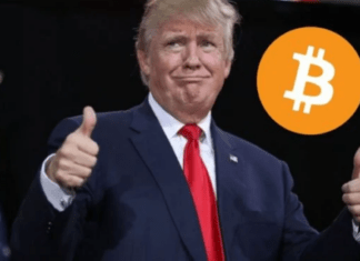 Breaking news: Bitcoin soars after Trump’s victory, BCH Miner helps you earn $5,000 a day 101