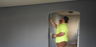 painter, paint, house