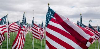 rows of American flags on a field