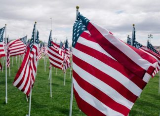 rows of American flags on a field