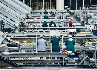 How Modular Busways Optimize Electrical Layouts for Food Processing Plants a group of people in a factory