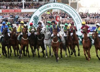 Key Trends for the Grand National
