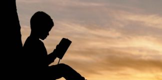 silhouette of child sitting behind tree during sunset