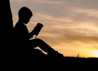 Empowering Leaders in Education: Strategies for Effective Educational Leadership silhouette of child sitting behind tree during sunset