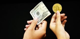 person holding 20 us dollar bill