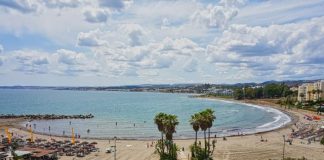A beach with palm trees and a body of water