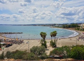 Living in Estepona: What Is Estepona Like to Live In A beach with palm trees and a body of water