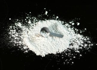 Benefits of Creatine Monohydrate and Optimum Health a scoop of powder next to a scoop of sugar