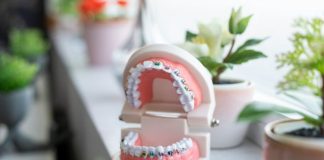 a toothbrush holder sitting on top of a counter next to a potted plant