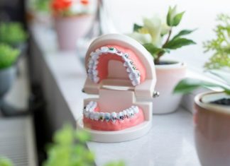 5 Common Myths About Orthodontic Treatments in Winnipeg You Should Stop Believing a toothbrush holder sitting on top of a counter next to a potted plant