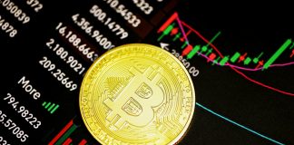 gold round coin on black surface