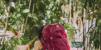 person with red trekker backpack standing on pathway surrounded with tall and green trees during daytime
