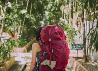 The Benefits of Solo Travel and How to Stay Safe person with red trekker backpack standing on pathway surrounded with tall and green trees during daytime