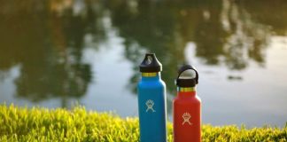 blue and red sports bottle on green grass near body of water during daytime