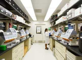 Why Healthcare Solutions Must Address Both Pricing and Market Power woman standing in front of the digital machine