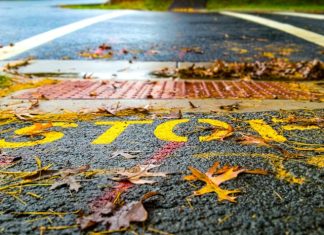 Safety First: The Intricacies of Driving and Road Etiquette STOP sign
