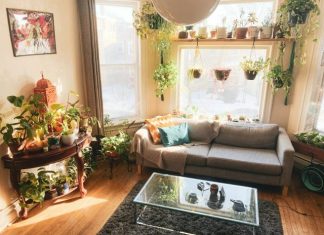 The Everyday Essentials That Build a More Liveable Space brown wooden coffee table near gray sofa