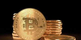 btc, bitcoin, cryptocurrency, crypto, money, currency, coin, finance, mining, payment, cash, internet, blockchain, gold, crypto-currency, business, cryptography, digital, financial, banking, electronic, network, stack, new order, bitcoin, bitcoin, bitcoin, bitcoin, bitcoin, cryptocurrency, crypto, crypto, crypto