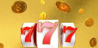 fortune, animal, tarot, pet, bingo, lottery, golden, dog, coins, money