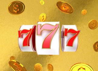 fortune, animal, tarot, pet, bingo, lottery, golden, dog, coins, money