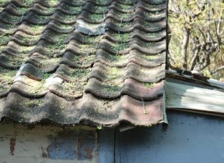How Can 24/7 Roof Leak Repair Experts in Akron Help Bypass Time Constraints? A bird sitting on top of a roof next to a building